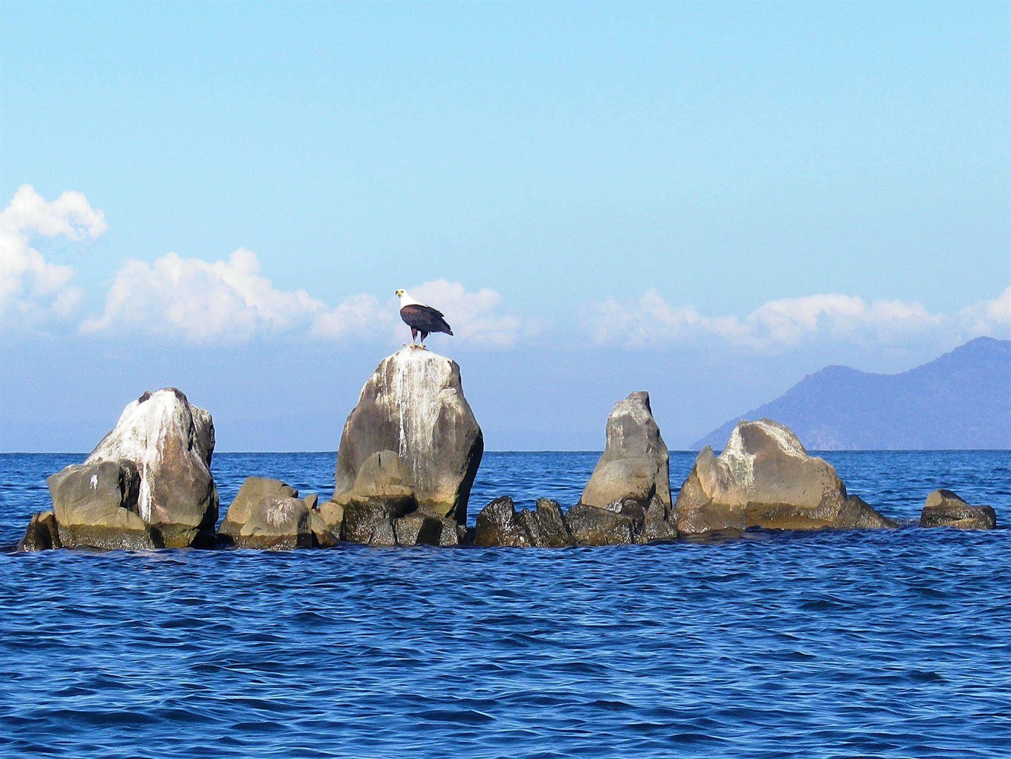 Blue Zebra Island Lodge Senga Экстерьер фото